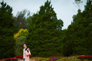 fotografi dasar diafragma DOF Sempit